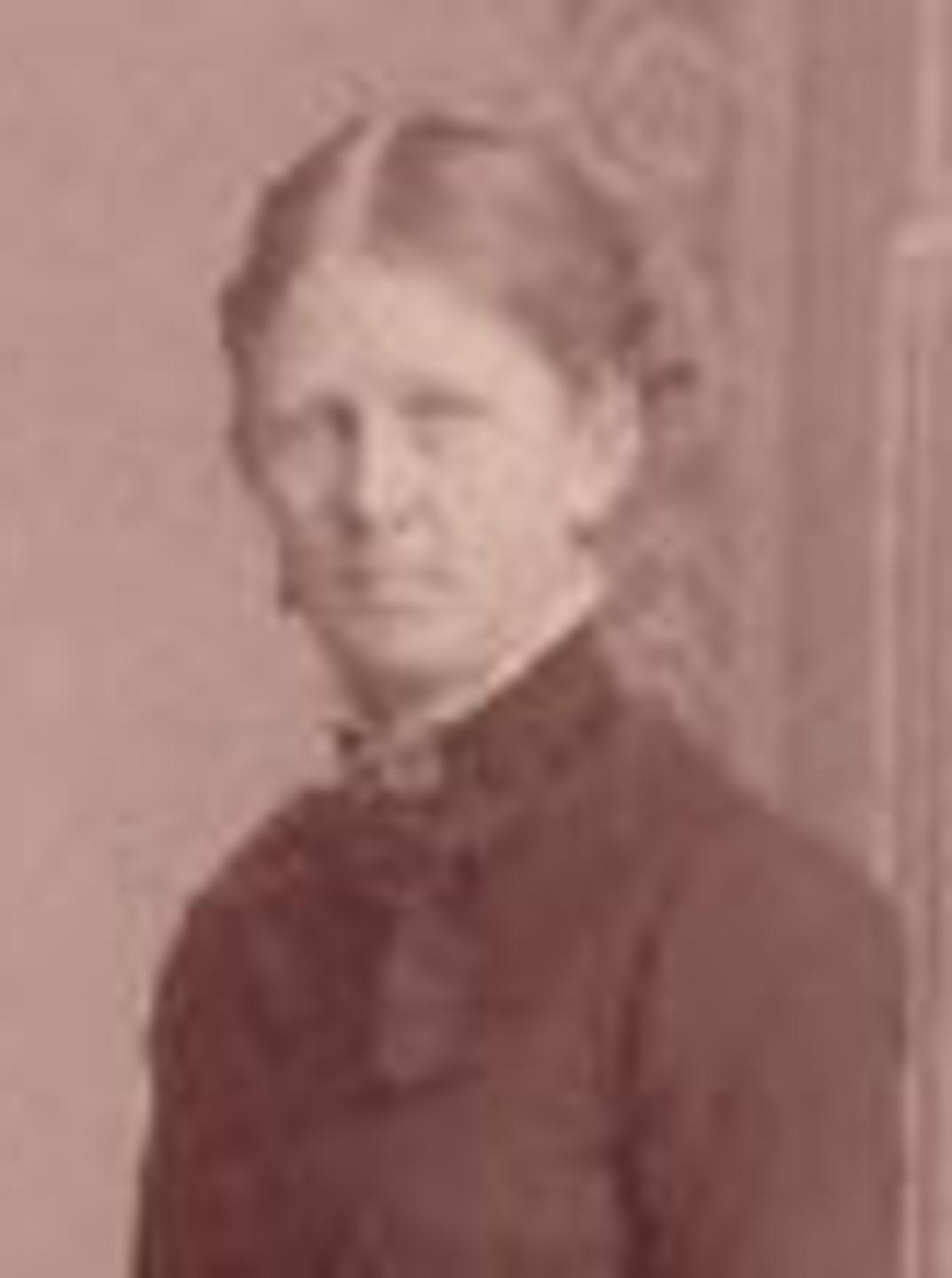 Nicolena Rolfsen (1852 - 1932) Profile